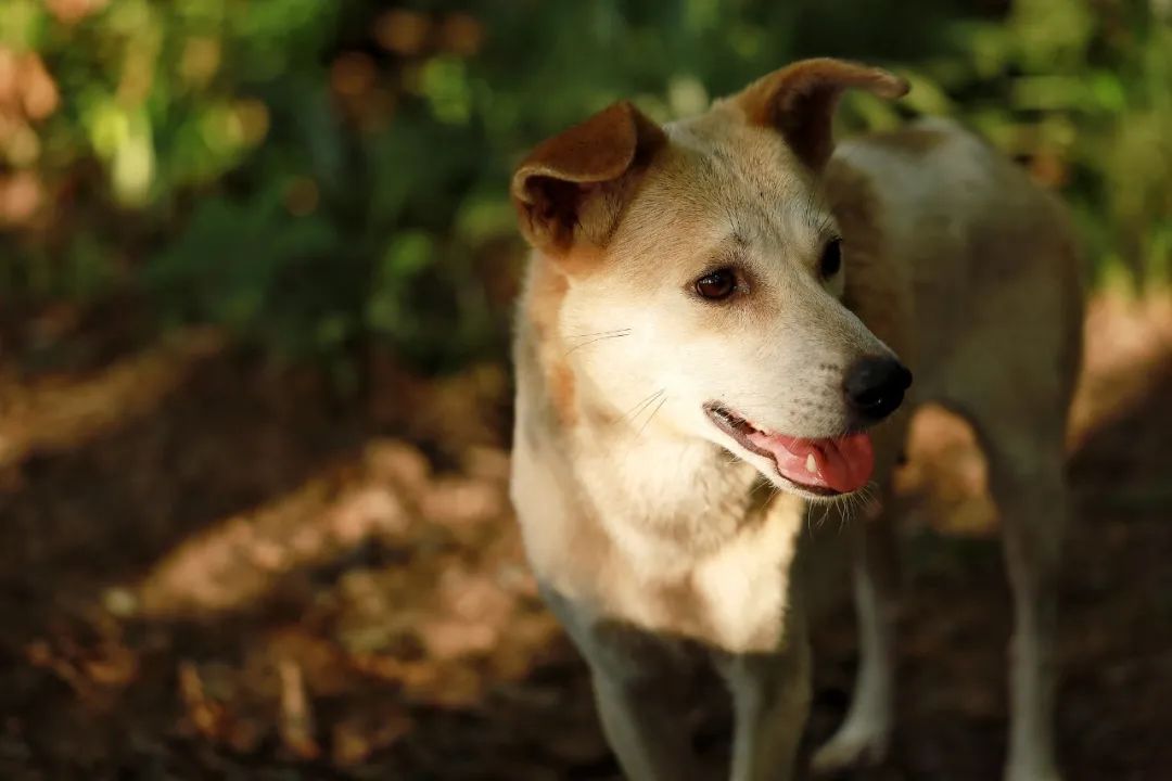 图源：视觉中国