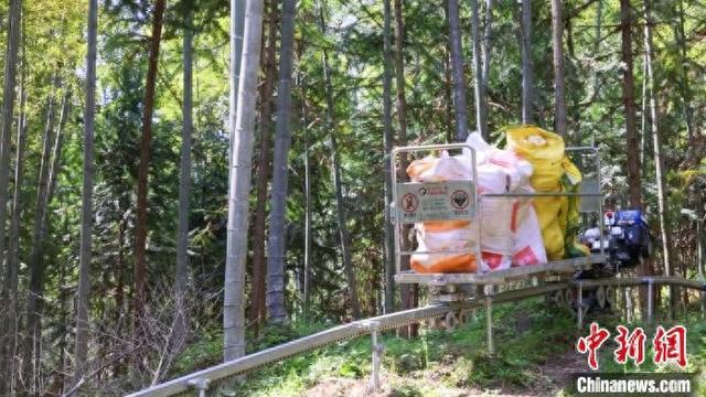 图为铜鼓县三都镇大槽村，林农使用轨道运输机将竹笋运到山下。铜鼓县融媒体中心供图