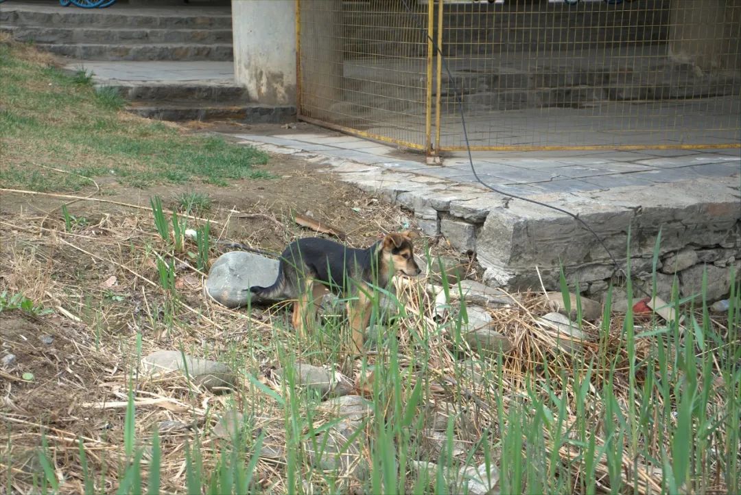 图源：视觉中国