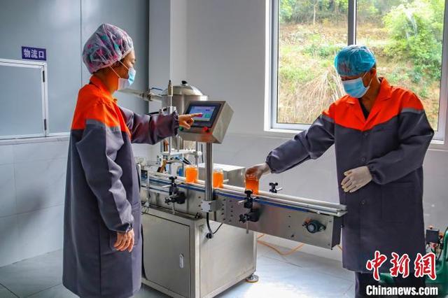图为工人在蜂蜜自动化车间作业。张海斌 摄