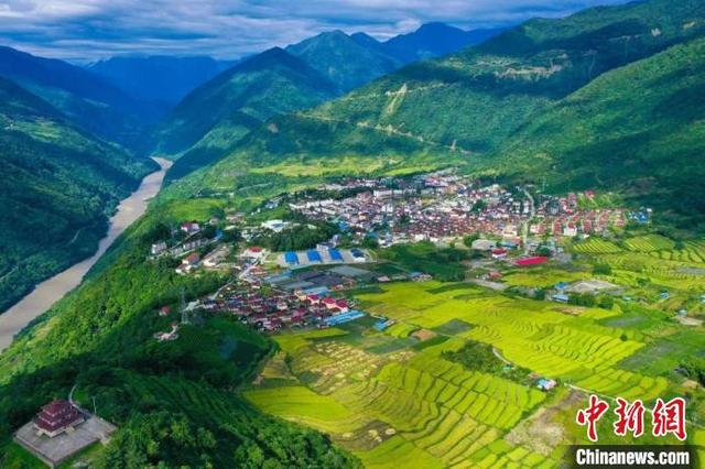 图为墨脱县茶园景观。墨脱县人力资源和社会保障局供图