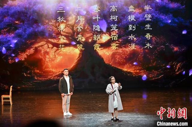 图为演出现场。中新社记者 李亚龙 摄