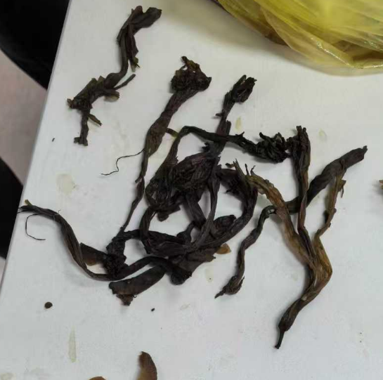 汤料中发现洋金花