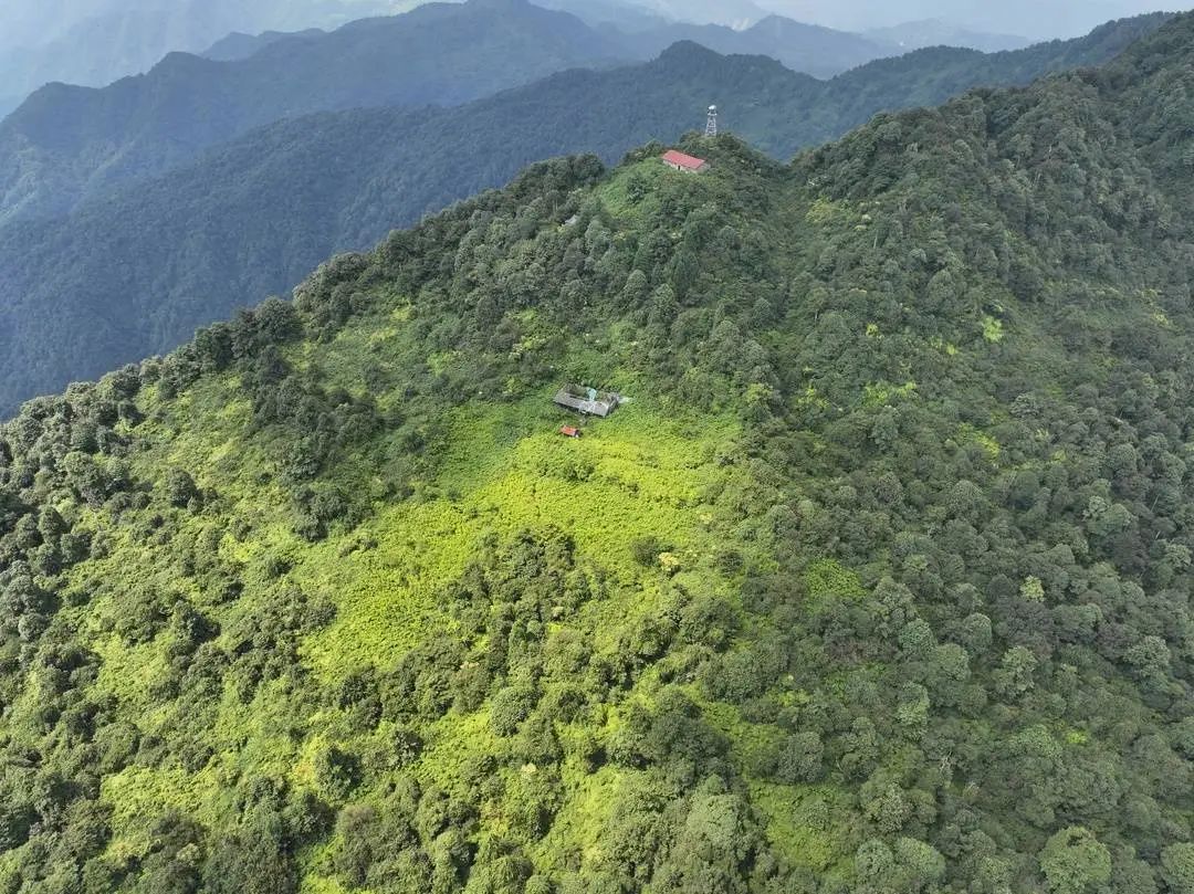 航拍四川省屏山县老君山国家级自然保护区。
