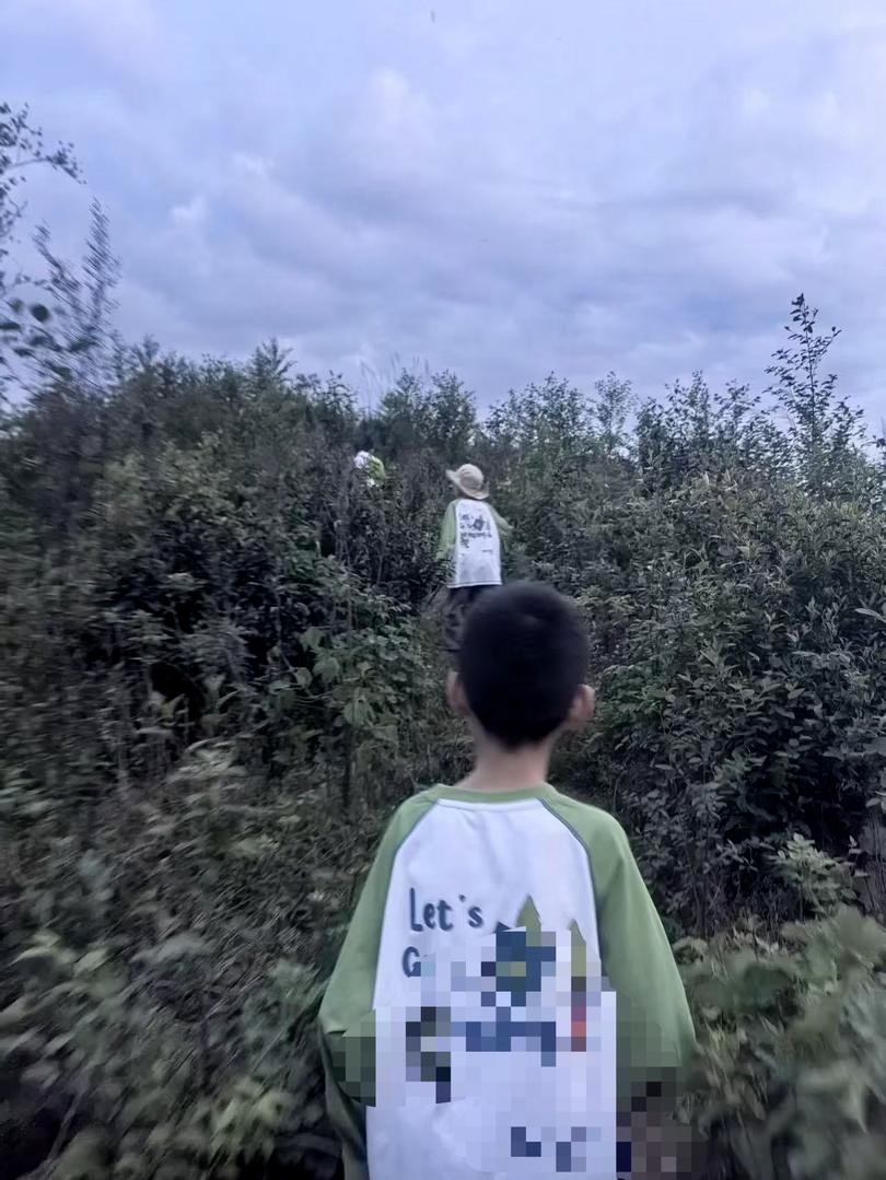 吴女士一行人迷路的区域