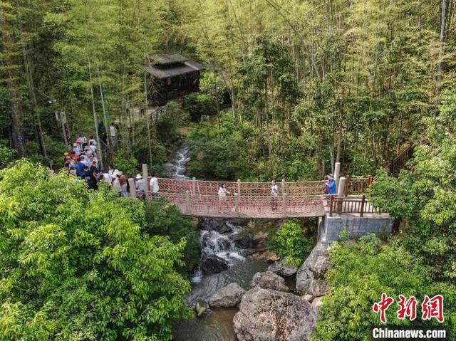 4月21日，江西萍乡，航拍国家森林公园江西武功山，游客在郁郁葱葱的树林间观光游玩。(无人机照片)中新社记者 刘力鑫 摄