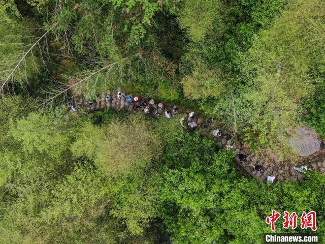 4月21日，江西萍乡，航拍国家森林公园江西武功山，游客在郁郁葱葱的树林间观光游玩。(无人机照片)中新社记者 刘力鑫 摄