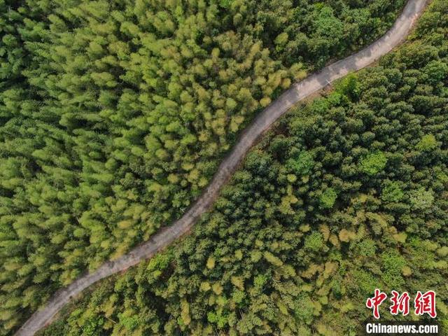 4月21日，江西萍乡，航拍国家森林公园江西武功山的苍茫林海，只见满山翠绿，风景秀美。(无人机照片)中新社记者 刘力鑫 摄