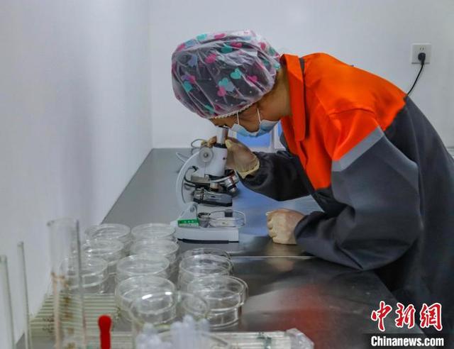 图为工人在蜂蜜自动化车间作业。张海斌 摄