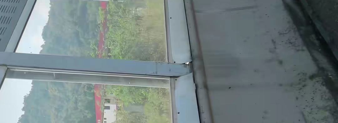 （图为疑似红嘴相思鸟撞到的透明围挡）