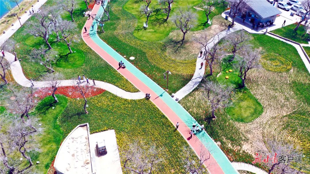 来源：新甘肃客户端（新甘肃·甘肃日报记者 马伊星）