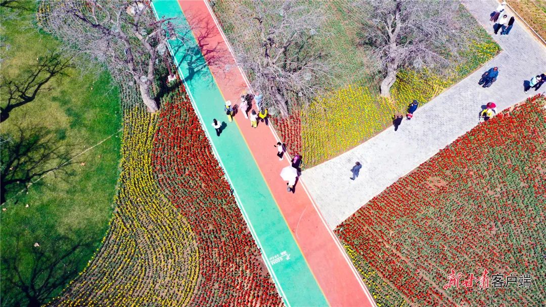 来源：新甘肃客户端（新甘肃·甘肃日报记者 马伊星）