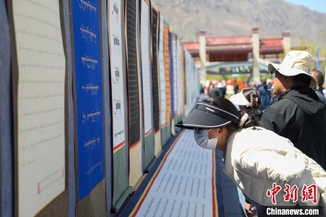 图为4月21日，此次活动的书画作品展览。次仁罗布 摄