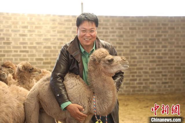 图为吉日木图怀抱新生的驼羔。杨婕摄