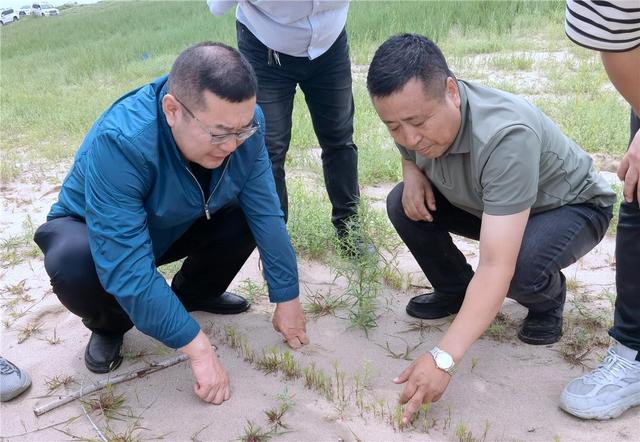 姚宏刚（左）在查看生态建设情况。（资料图）