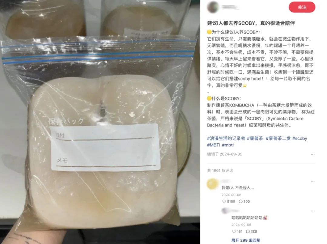 图源：小红书@孙开心_