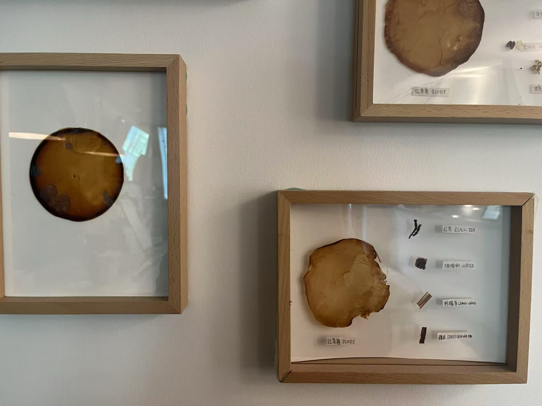 图源：氢商业摄