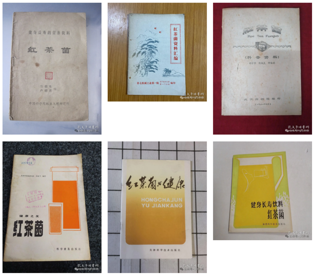 （孔夫子旧书网仍能搜索到上世纪80年代宣传红茶菌功效的旧书籍）图源：门外谈