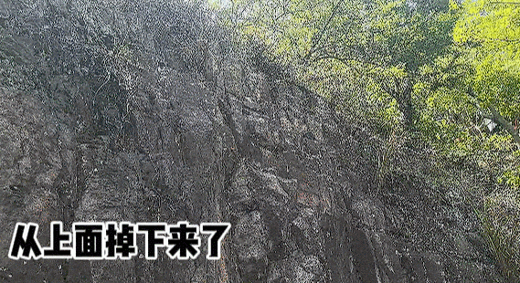 老人就是从这掉下来，受伤被困。