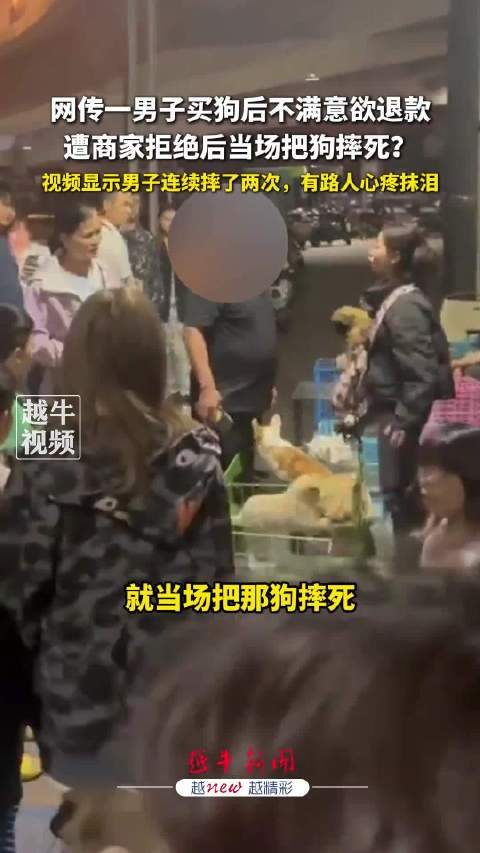男子买狗不满意退款遭拒当场摔死狗 路人心疼抹泪|狗_新浪新闻