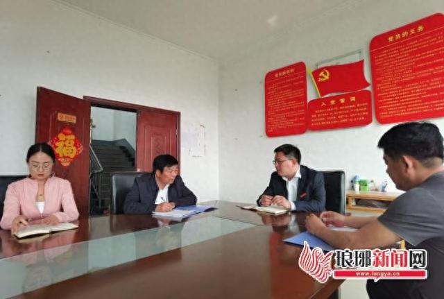 “绣花功夫”助振兴 ——记市自然资源和规划局派驻兰陵县鲁城镇东石门村第一书记王贯迎|党员_新浪财经_新浪网