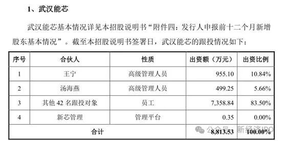 新芯股份IPO:多家关联机构突击入股 撤换财务总监原因不明(图9)