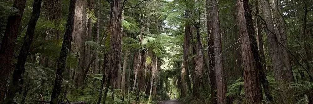 宜信财富:城墙之内,绿树成荫