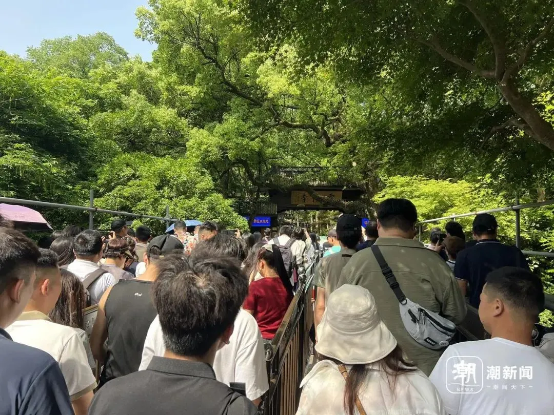 图源：钱江新闻