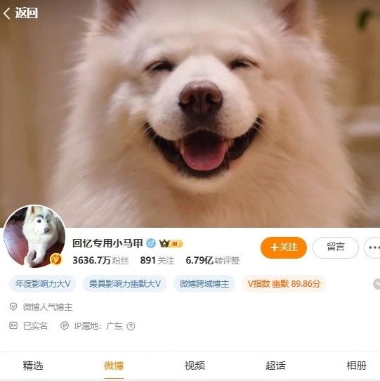 千万粉丝网红道歉!网友炸锅