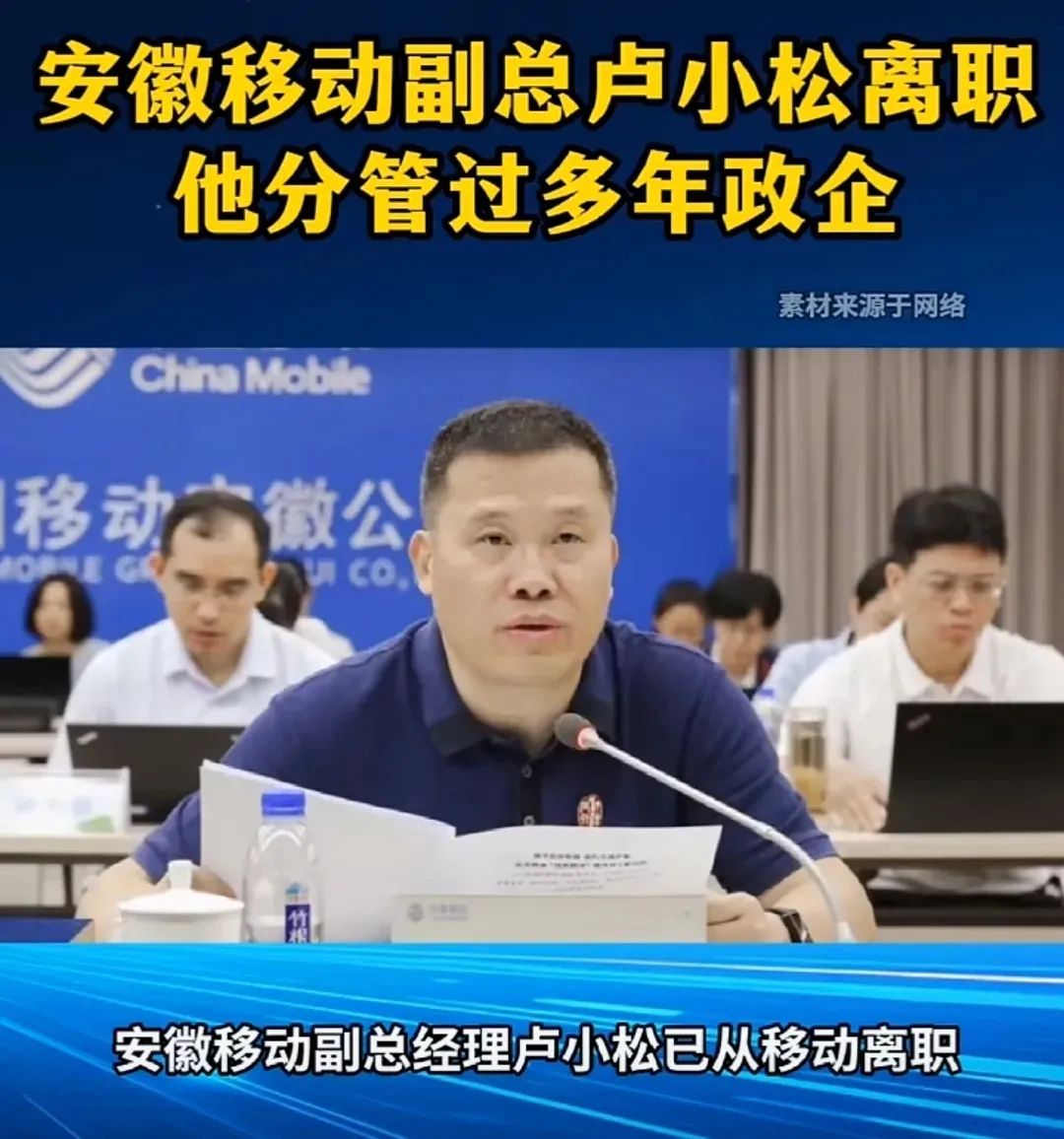 中国移动某省副总经理爆离职,领导班子成员信息全览!|安徽省|安徽移动|卢小松|合肥移动|纪委书记_新浪新闻
