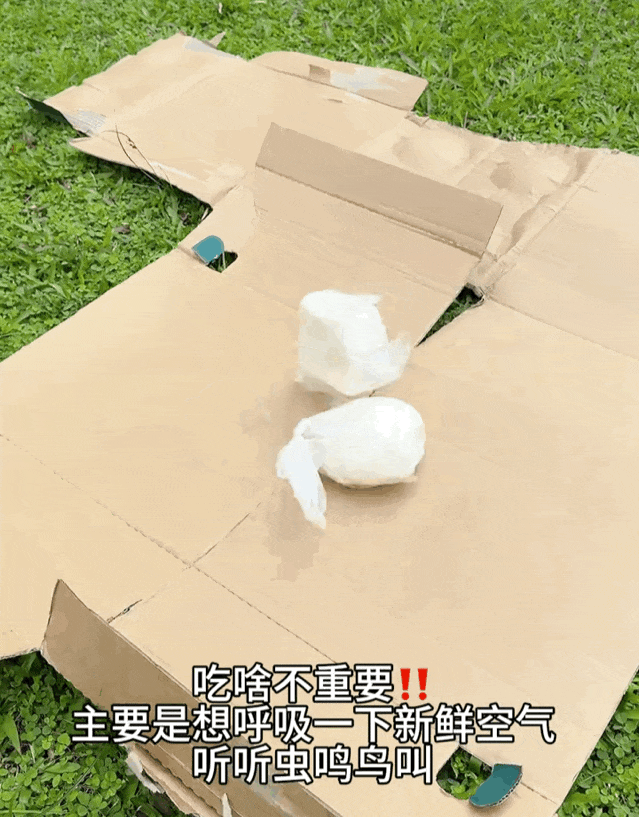       图源：抖音@清汤挂面，下同  