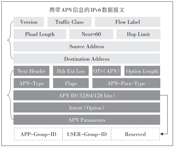 图2 携带APN信息的IPv6数据报文