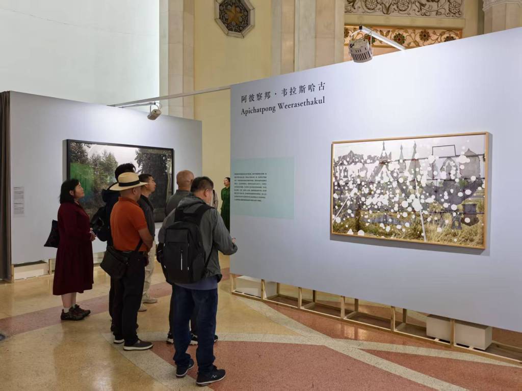 “洞见映像”板块