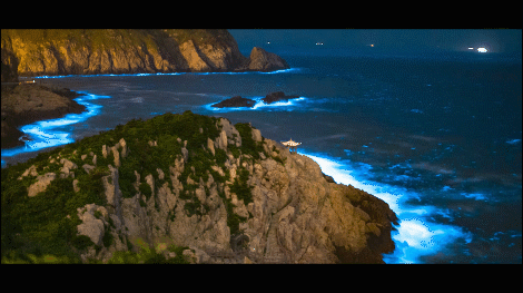 大陈岛旅游度假区