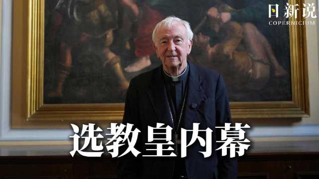 枢机主教亲述选教皇内幕：不似电影那般戏剧化|教皇选举_新浪新闻