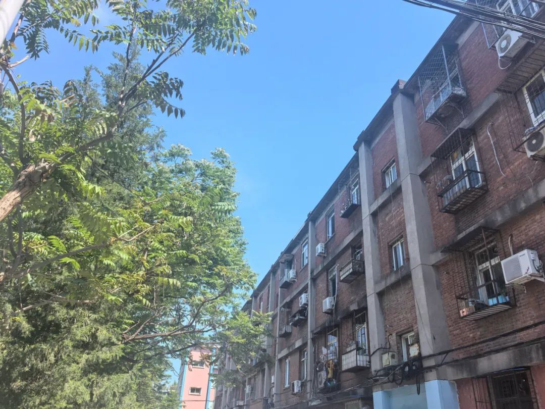 如今的首钢宿舍区 （图片来源：小红书@橙子解忧杂货铺）