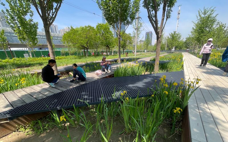 京张铁路遗址公园内建设的雨水花园。新京报记者 吴婷婷 摄