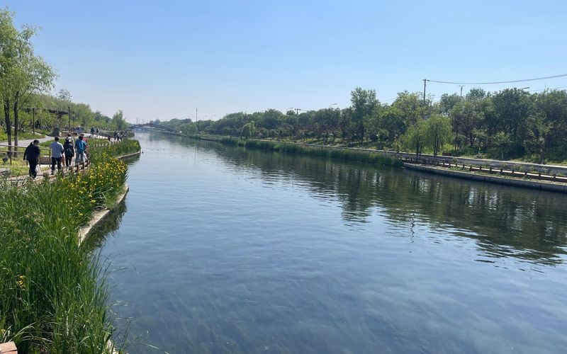 清河之洲水清岸绿。新京报记者 吴婷婷 摄