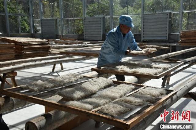 2025年，农户晾晒地瓜面。景宁县官方供图