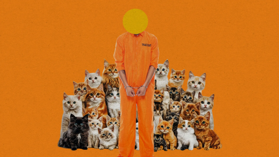 （来源：MIT Technology Review）