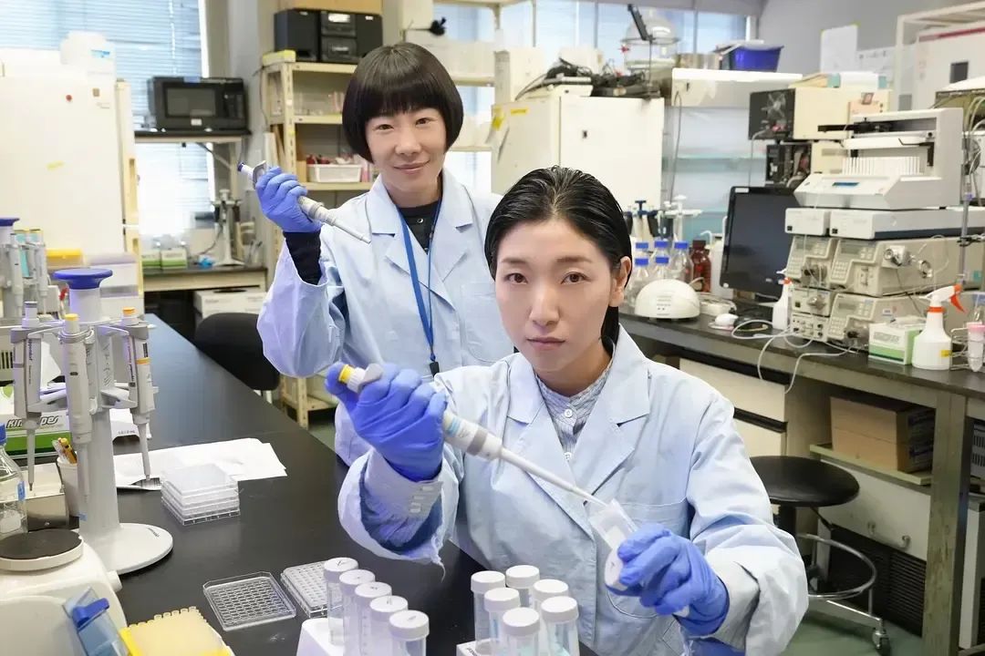 我在名校读博士，我的生活完蛋了