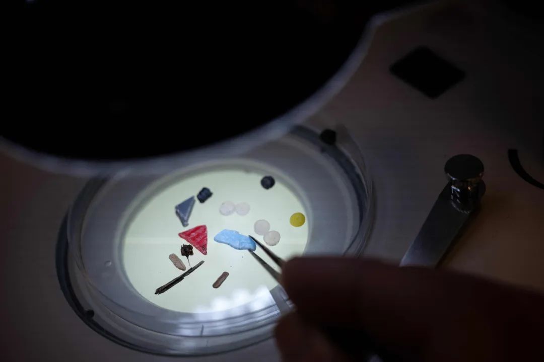 理查德·汤普森教授在实验室中通过显微镜分析微塑料和其他微小塑料颗粒。