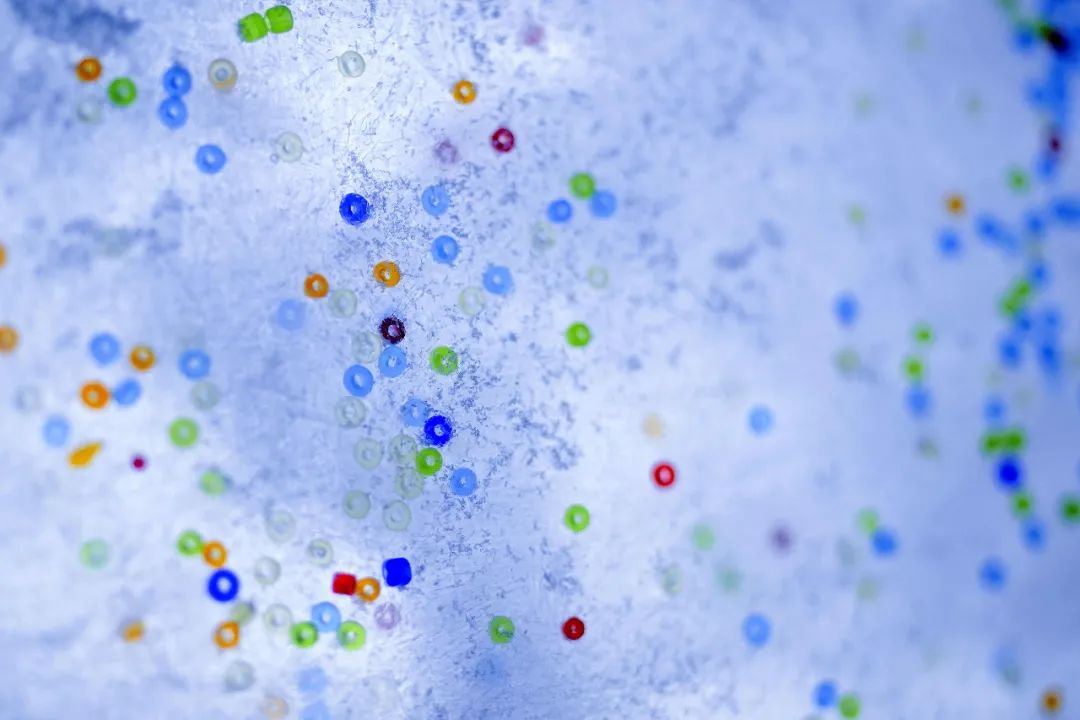 芬兰瓦萨冰冻水中的塑料碎片。