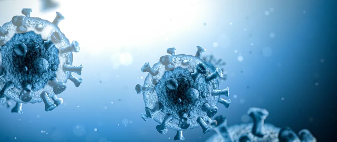 图片来源：视觉中国