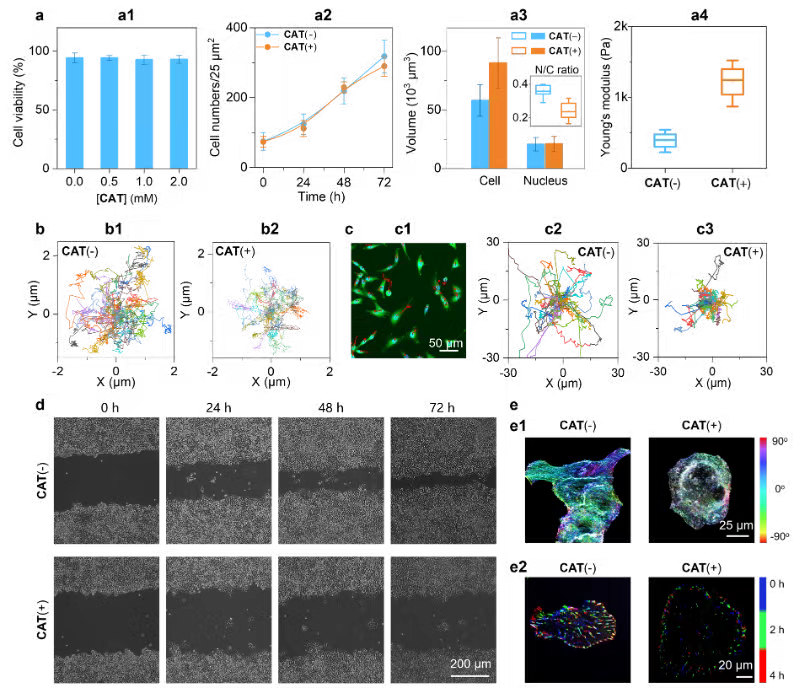 （来源：Angewandte Chemie International Edition）