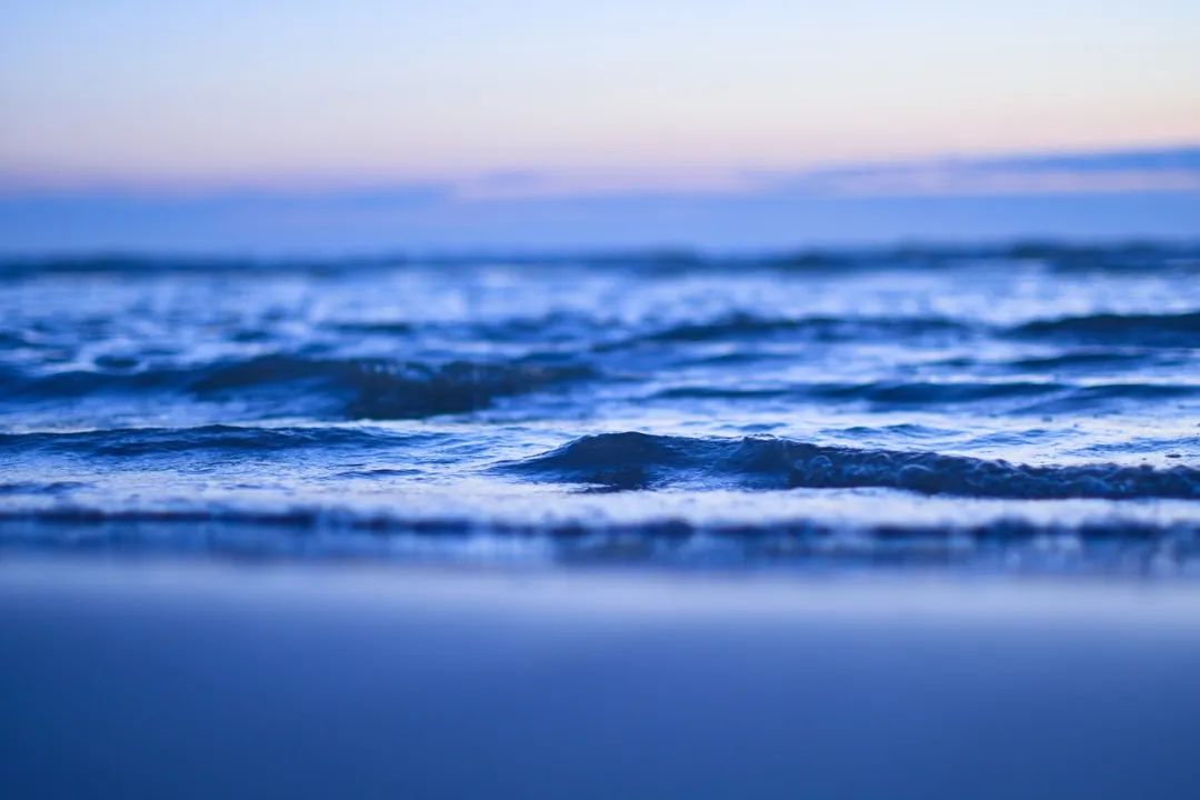 (图源:pixabay)
