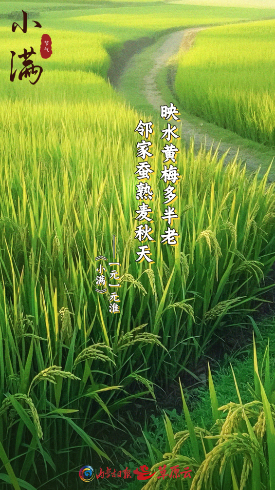 小满，生活恰到好处的诗意~_新浪财经_新浪网
