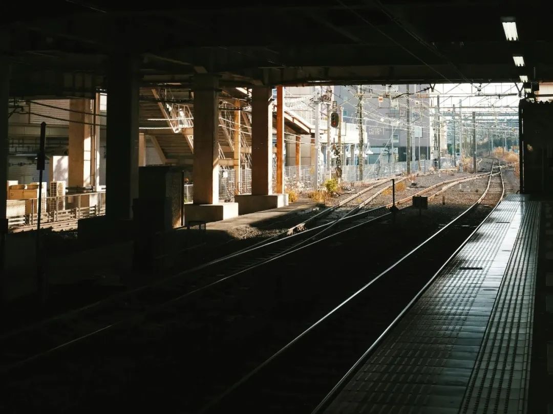 ��ͼ/unsplash��