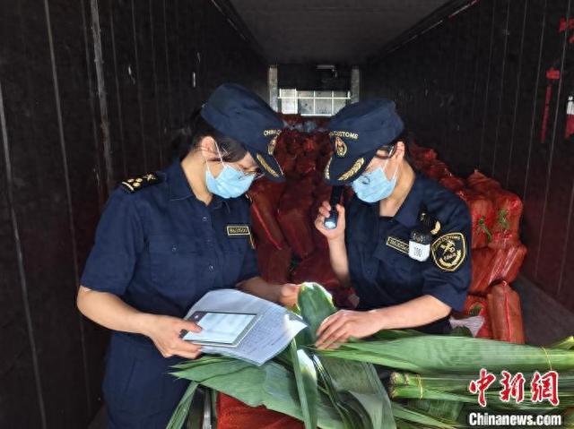 图为海关关员在河口公路口岸对进口越南粽叶开展查验.罗登洪 摄