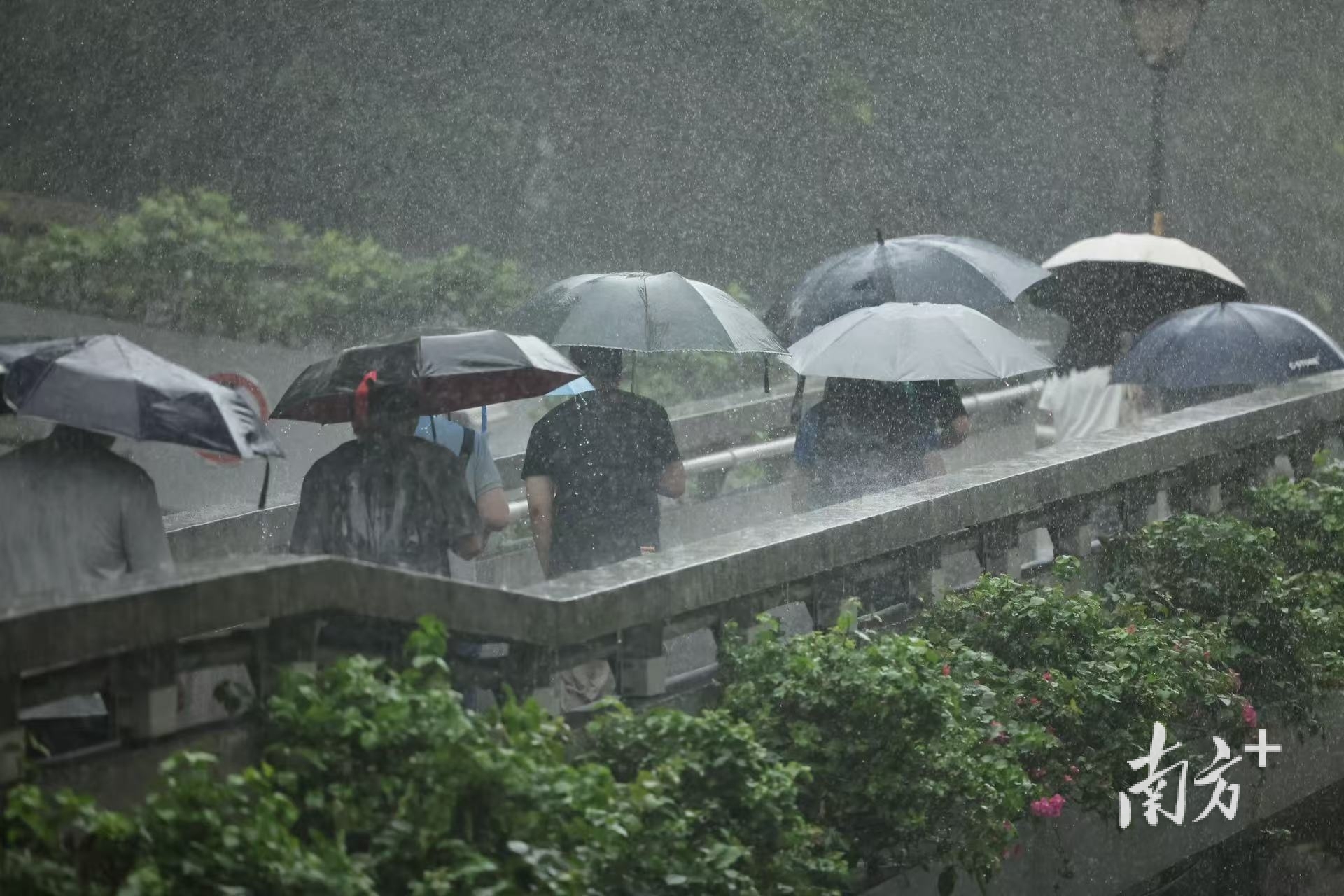 强降雨蓄势待发，周三起雨带将自北向南影响广东｜天气早知道|暴雨|广东省|强降雨_新浪新闻